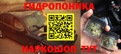 гашик Волжский