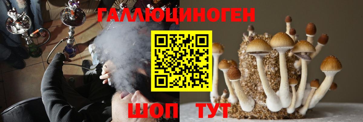 Тихорецк  Псилоцибиновые грибы GOLDEN TEACHER  где продают наркотики  Вход с VPN 